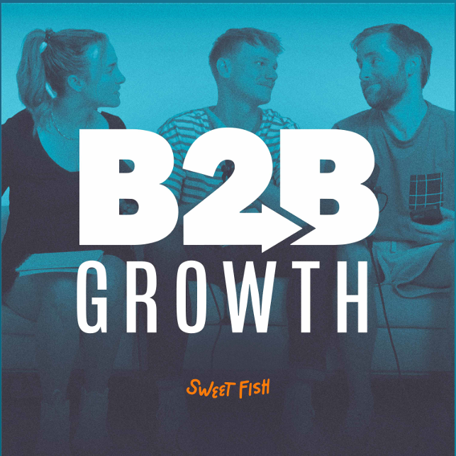 Read more about the article B2B Growth – Socials, Newsletters, Graphic Copy